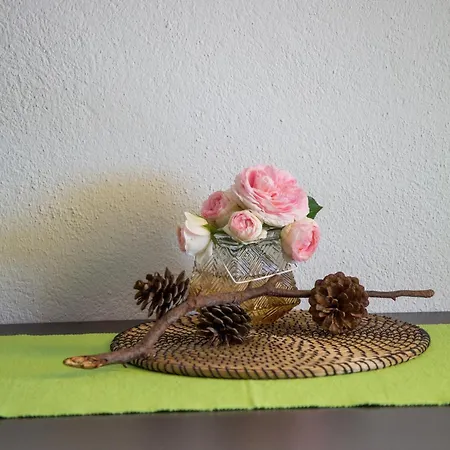 Apartament With Parking Space Orebic, Peljesac - 10251