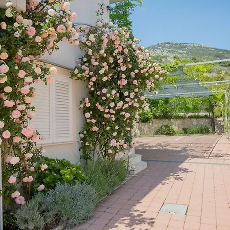 With Parking Space Orebic, Peljesac - 10251 *