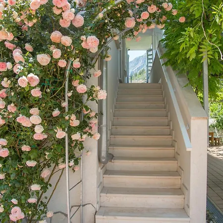 With Parking Space Orebic, Peljesac - 10251 Apartman *